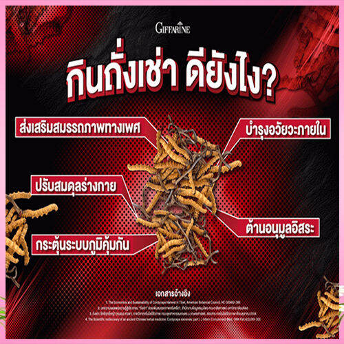 คุณประโยชน์ทรงพลังgiffarinถั่ง-เช่า-บำรุงร่างกายเพิ่มสมรรถภาพ-สินค้าของแท้-จำนวน1กระปุก-รหัส41024-บรรจุ20แคปซูล-สินค้าแท้100-my-hop