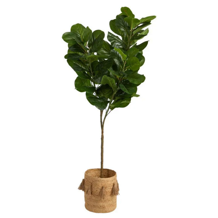 6-fiddle-leaf-fig-ต้นไม้ประดิษฐ์ในชาวไร่