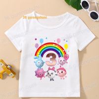 T Shirt Boys T Shirts BabyRiki Baby Riki Kids Tshirt 1 2 3 4 5 6 7 8 9 years birthday party T-shirts summer Tops For Girls-clothing Children Clothes