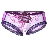 【YF】▨  Mens Panties Briefs Floral Embroidery Sheer Mesh Low Rise Trim Crotchless Underpants Sissy Thongs