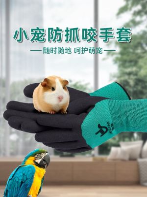 High-end Original Anti-Bite Gloves Hamster Parrot Golden Bear Thickened Special Children Outdoor Protective Animal Anti-Cat Rabbit Cat