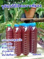 หัวเชื้อจุลินทรีย์สังเคราะห์แสง คุณภาพสูง เข้มข้น 600ml. เร่งดอก ผล ดก เร่งราก  ขยายเชื้อได้เร็วทันใจ พร้อมใช้งานทันที หัวเชื้อ