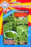 เคล คะน้าใบสลัดสามเอ Curly Green Kale เมล็ดพันธุ์ผักคะน้าประดับ กินใบ เมล็ดพันธุ์ตราสามเอ