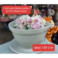 กระถางเซรามิคทรงเหยือก 8.5 นิ้ว สีขาวครีม พร้อมจานรอง ชุดละ 129 บาท