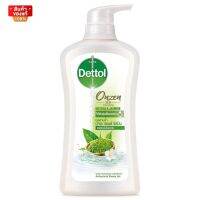 เดทตอล เจลอาบน้ำ ออนเซ็น ดีท็อกซ์ซิฟายอิ้ง ขนาด 450 มล. [Dettol Onsen Detoxifying Shower Gel, 450 ml]