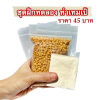 ชุดทดลองทำ เทมเป้ tempeh หัวเชื้อเทมเป้ ถั่วเหลือง ถุงทำเทมเป้ ขนาดทดลอง