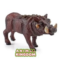 Animal Kingdom - โมเดล Boar หมู ป่า ขนาด 12.00 CM (จากสงขลา)