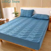 【CW】 New Cotton Soft Thicken Mattress Cover Color Hotel Anti mites Bed Not Including Pillowcase