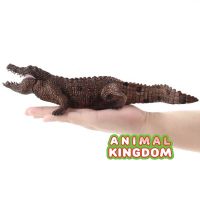 Animal Kingdom - โมเดล Crocodile จระเข้ น้ำตาล ขนาด 28.50 CM (จากสงขลา)