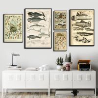 Luyameishop Vintage Marine Life Canvas Art: Shell &amp; Fish ภาพประกอบโปสเตอร์สำหรับตกแต่งห้องนั่งเล่น