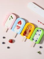 【CW】 Homemade Popsicle Mold Silicone with Lid layer Stackable 10 Stick Tray