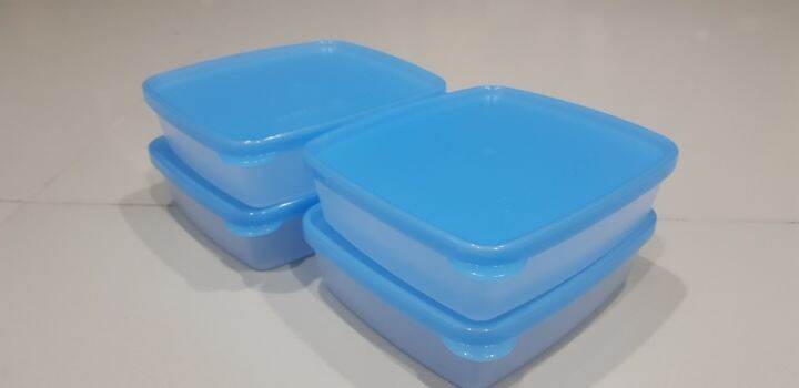 tupperware-กล่องเหมันต์มินิ-4