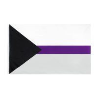 3Jflag 3x5Fts 90X150cm LGBT QIA Ace Community Demi Asexuality Asexual Pride Demisexual Flag Electrical Connectors