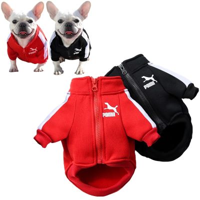 Luxury Dog Jacket Winter Dog Clothes for Small Medium Dogs Puppy Pet Vest French Bulldog Sweatshirt Chihuahua Costume Pug Coat
