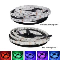 5 12 24 V Volt LED Strips Light RGB IP67 Waterproof SMD 5050 5M Warm White LED Strips Light For TV Backlight Decoration BedRoom