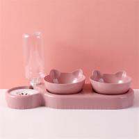 Wholesale Cat And Dog Double Bowl Food Bowl Automatic Feeding Water Dispenser Pet Supplies A Drop Shipping