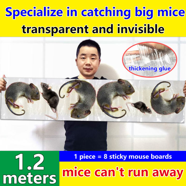 Mouse Rat Glue Trap Jumbo Size 120gram