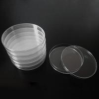 、’】【‘ 10Pcs 35Mm Clear Petri Dishes Affordable For Microorganisms Cell Clear Sterile Chemical Instrument Drop Shipping #20