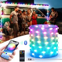 2M 5M 10M 15M USB Fairy Lights Dream Color LED String Lights Garland Lamp Bluetooth App Control Holiday Christmas Wedding Decor