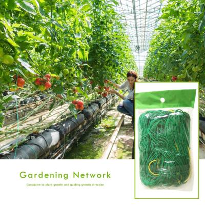 【จัดส่งภายในประเทศ】♬ เครื่องมือสวนปลูกพืช รองรับการเจริญเติบโตของต้นไม้ ด้วยเครือข่ายไนลอน สีเขียว ใช้ในโรงเรือนเพาะปลูก