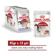 HCMHộp 12 gói Pate cho mèo lớn ROYAL CANIN INSTINCTIVE Gravy Jelly Loaf