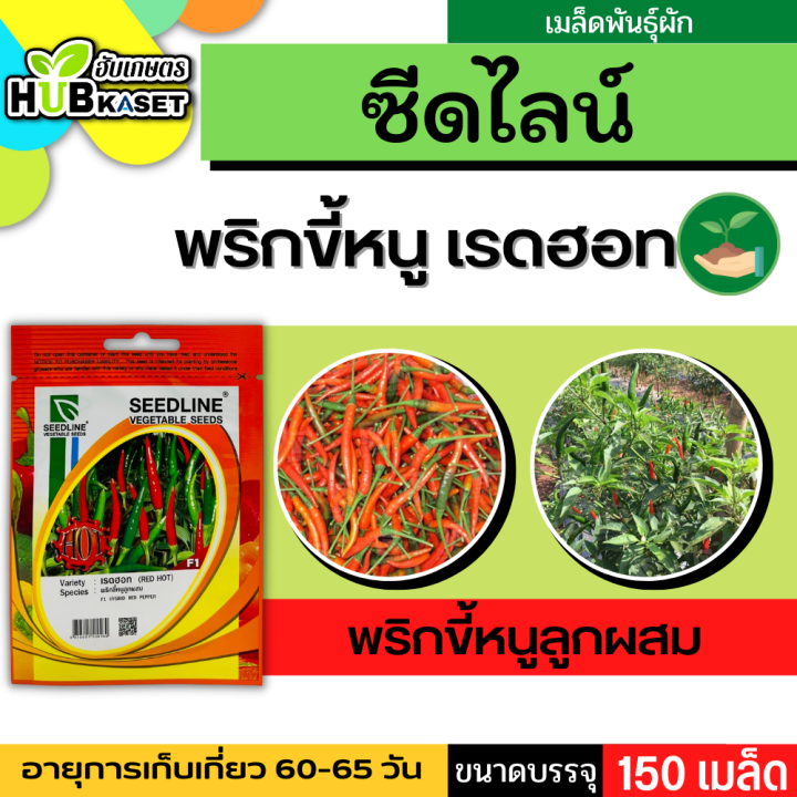 ซีดไลน์ 🇹🇭 พริกขี้หนูลูกผสม เรดฮอท ขนาดบรรจุประมาณ 150 เมล็ด อายุเก็บเกี่ยว 60-65 วัน