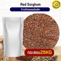 ฟ่างแดงเม็ดเล็ก Red Sorghum อาหารนก กระต่าย หนู กระต่าย กระรอก ชูก้า และสัตว์ฟันแทะ สะอาดได้คุณภาพ (กระสอบ 25KG)