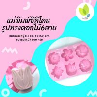 แม่พิมพ์สบู่ แม่พิมพ์ขนม แม่พิมพ์ซิลิโคน รูปทรงดอกไม้6ลาย 6 ช่อง 100 กรัม (คละสี) (PM-M100-002)