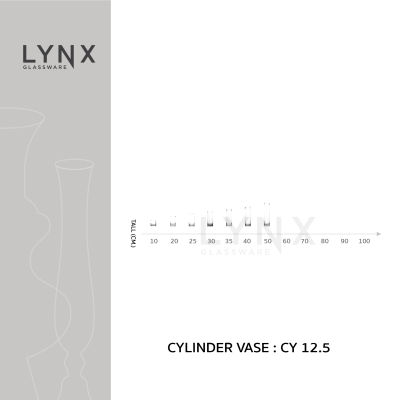 LYNX - CYLINDER VASE 12.5 - แจกันแก้ว แฮนด์เมด เนื้อใส ทรงกระบอก ขนาดปากและฐาน 12.5 ซม.