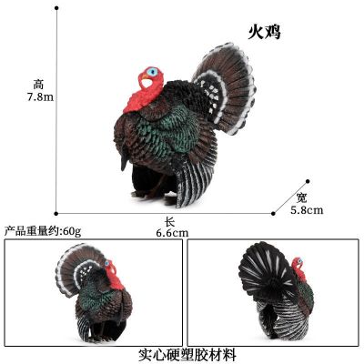 Solid simulation animal model toy furnishing articles suit a Turkey fowl rooster hen ribbon model