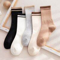 【CW】 New Fashion Cotton Socks Ins Trending Hight Middle Tube Socken