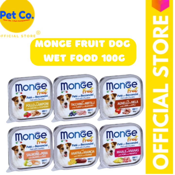 MONGE FRUIT DOG WET FOOD 100G Lazada PH