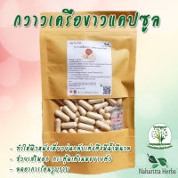 กวาวเครือขาว  ขนาด 50/100 แคป (500mg/1cap.) สมุนไพรแท้ 100% ไม่ผสม คุณภาพดี ออร์แกนิค จัดส่งไว (ผลิตโดยวิสาหกิจชุมชน/เชียงราย)