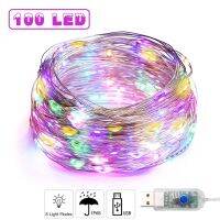 【hot】 1M-10M Multicolor Festoon USB Powered Garland Lights Ornaments for Wedding Luminaires