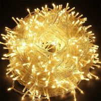 100M 50M 30M 10M Holiday Led Christmas Lights Outdoor LED String Lights Garland Fairy Lighting Decoration for Party Wedding Fairy Lights