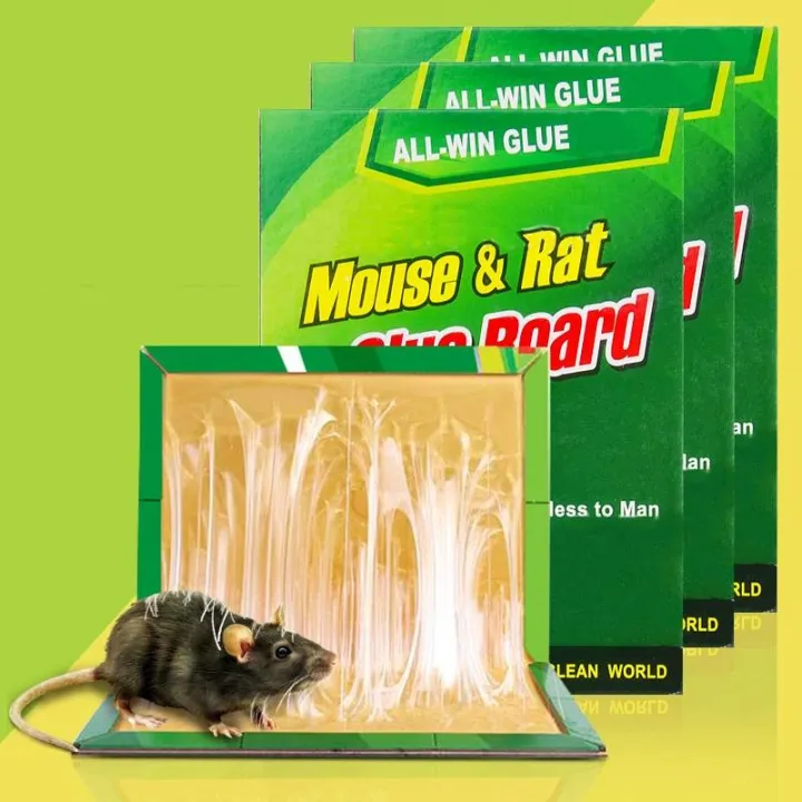 ORIGINAL SET OF 10 Mouse Rat Glue Trap Rodent expert/Rat Glue snare sticker  mice board