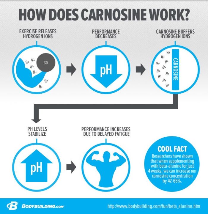 คาร์โนซีน-super-carnosine-500-mg-60-vegetarian-capsules-life-extension