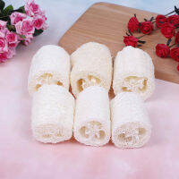 sunkepo6392 6pcs NATURAL Loog luffa looffa สปาฟองน้ำห้องครัวสะอาดขัดแปลกใหม่