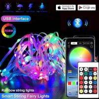 Smart Bluetooth USB Garland Lighting Strings RGBW Remote Lamp Outdoor Indoor Room Party Christmas Decor LED Fairy String Light