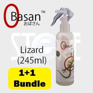 How to Use Lizard Control Products to Safeguard Your Home?, by BugsStop  Singapore