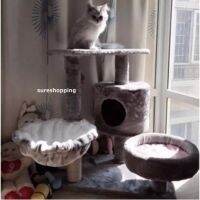 KJ ที่นอนแมว คอนโดแมว Catcondo   พร้อมที่ลับเล็บแมว สีเทา แถมตุ๊กตาหนู 1 ตัว ที่นอนหมา เบาะนอนสุนัข เบาะนอนหมา เบาะนอนแมว ที่นอนสัตว์เลี้ยง เตียงหมา เตียงแมว