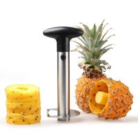 LMETJMA Premium Pineapple Corer Stainless Steel Pineapple Corer Slicer Thicker Premium Peeler Cutter Kitchen Gadget KC0243 Graters  Peelers Slicers