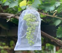 ✵ 50/100PCS Grapes Garden Mesh Bags Fruit Protection Bags Agricultural Orchard Pest Control Anti-Bird Netting Vegetable Jardim