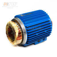 EBARA อะไหล่ MOTOR 3M-40-160/3.0 ( E062-277930425 )