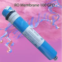 ไส้กรอง RO Membrane 100 GPD