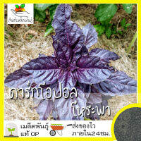 เมล็ดพันธุ์ ดาร์กโอปอล โหระพา 100 เมล็ด Dark Opal Basil เมล็ดพันธุ์แท้ นำเข้าจากต่างประเทศ ปลูกผัก สวนครัว ถูกดี เพาะง่าย