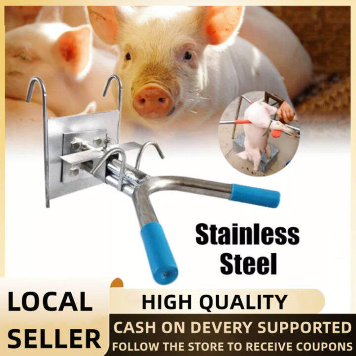 Castration Tools for Pig Stainless Steel Double Hook Castration Rack 1