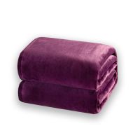 Soft Fleece Blanket for Sofas and Beds 50X60 Inch Comfortable Lightweight Fleece Flannel Blanket Microfiber Blanket