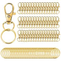 100PcsSet Key Rings Gold Lobster Claw Clasp Swivel DIY Handcraft Hooks Trigger Decor Anti-rust Alloy Hook for Keychain Bag