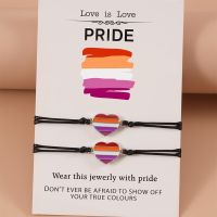 2pcs/lot Rainbow Love Heart Braided LGBT Bracelet For Gay Lesbian Hand-woven Adjustable Charm Bracelet Friendship Jewelry Gifts Charms and Charm Brace